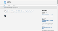 Desktop Screenshot of businesscredithelp.info